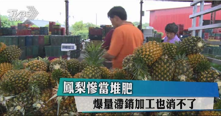 農民也只能仰賴政府回收補貼損失 農民也只能仰賴政府回收補貼損失