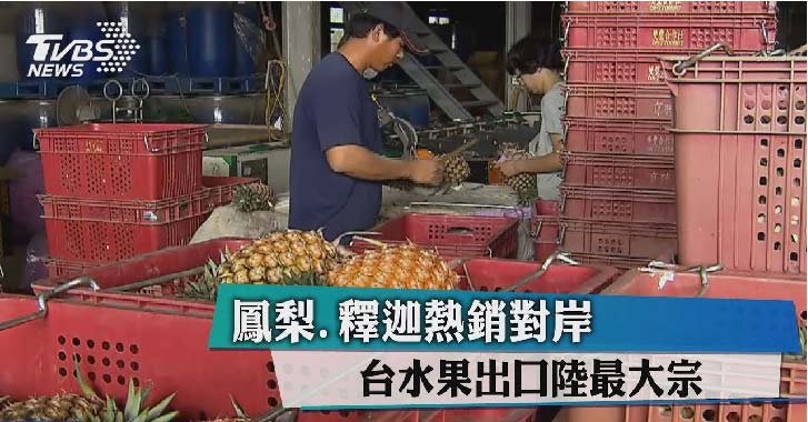 台灣鳳梨出口中國仍上升17%