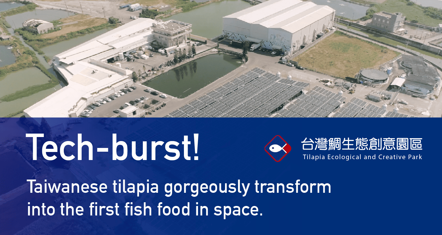 Tech-burst! Taiwanese tilapia gorgeously transform into the first fish food in space.