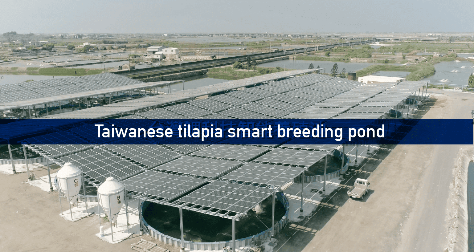 Taiwanese tilapia smart breeding pond